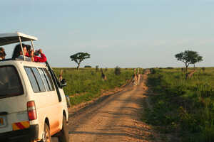 広大なサバンナを車でサファリ