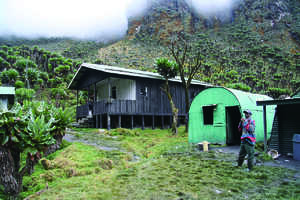 高床式・木造のハット
