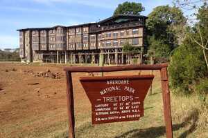 ツリー・トップスの画像の画像5