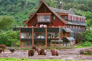 ジ・アークの画像の画像6