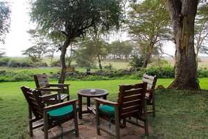 アンボセリ・セレナ・ロッジの画像の画像4