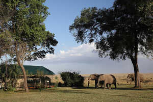 メイン・ガバナーズ・キャンプの画像の画像6