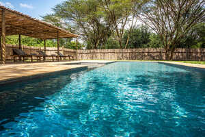 イルケリアニの画像の画像7