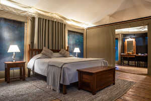 イルケリアニの画像の画像3