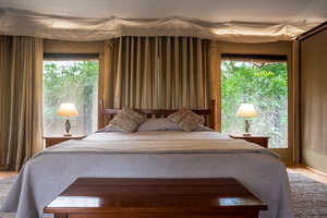 イルケリアニの画像の画像5