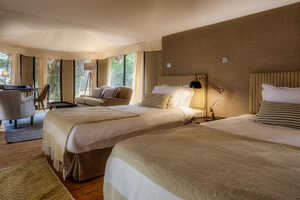 イルケリアニの画像の画像8