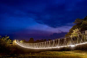 イルケリアニの画像の画像6