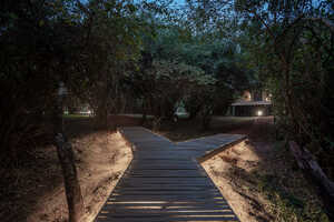 イルケリアニの画像の画像4