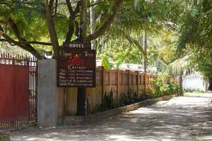 フレイムツリーの画像の画像6