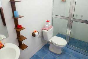 フレイムツリーの画像の画像3