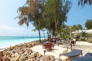 フレイムツリーの画像の画像5