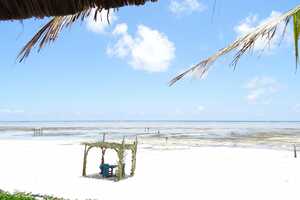 ブリージーズの画像の画像6