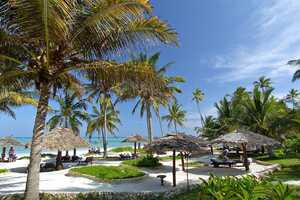 ブリージーズの画像の画像7