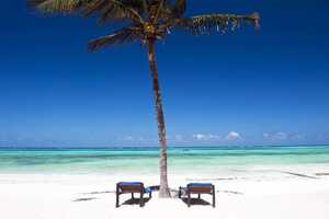 カラフウの画像の画像7