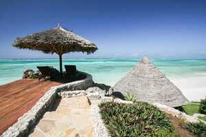 カラフウの画像の画像6