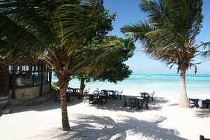 カラフウの画像の画像5