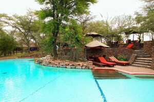 セレンゲティ・セレナ・ロッジの画像の画像7