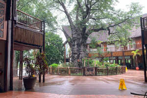 モワナ・サファリ・リゾート＆スパの画像の画像5