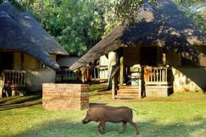 チョベ・サファリ・ロッジの画像の画像6