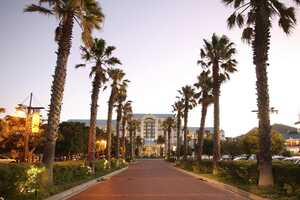 ザ・テーブル・ベイの画像の画像3