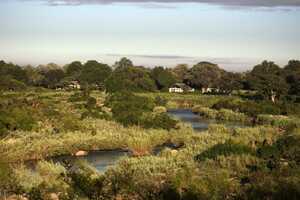 ライオン・サンズの画像の画像6