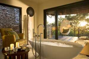 ライオン・サンズの画像の画像2