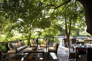 ライオン・サンズの画像の画像5