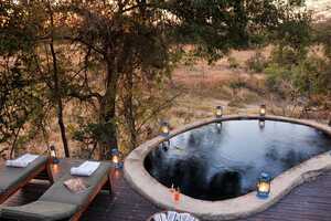 ルキンビ・サファリ・ロッジの画像の画像5