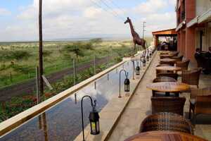 オレ・セレニ・ホテルの画像の画像3