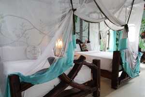 エマーソン・スパイスの画像