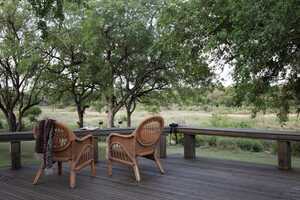 マラ・マラの画像の画像4