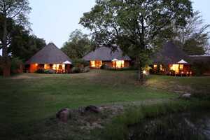 マラ・マラの画像の画像6