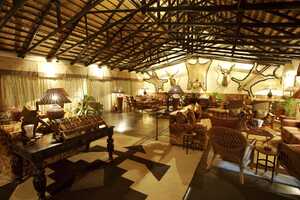 マラ・マラの画像の画像2