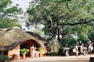 マラ・マラの画像の画像5