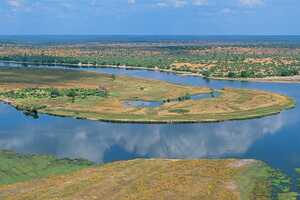 チョベ・サバンナ・ロッジの画像の画像7