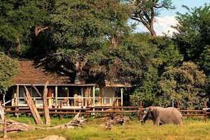 サブティ・サファリ・ロッジの画像の画像6