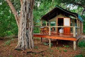 キャンプ・モレミの画像の画像2