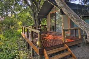 キャンプ・オカバンゴの画像の画像2