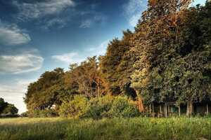 クワラ・キャンプ、リトル・クワラの画像の画像7