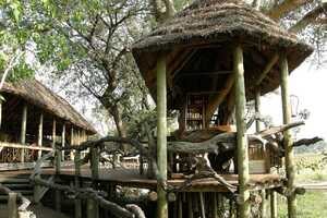 マプラ・ロッジの画像の画像6