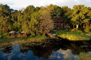 ヤオ・キャンプの画像の画像6