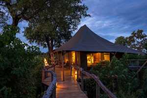 モンボ・キャンプ、リトル・モンボの画像の画像3