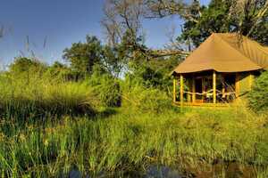 カナナの画像の画像3