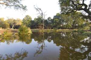 ウルサバの画像の画像6