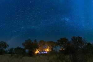 ライノ・ポスト・サファリ・ロッジ、ライノ・ウォーキング・サファリ＝プレイン・キャンプの画像の画像9