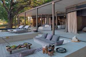 チンゾンボの画像の画像3