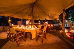 トゥナトゥナの画像の画像5