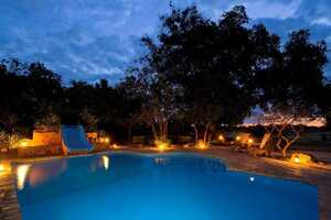 フラット・ドッグスの画像の画像5