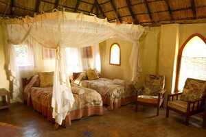 フラット・ドッグスの画像の画像2