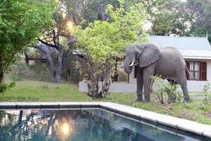 ベインズ・リバー・キャンプの画像の画像5